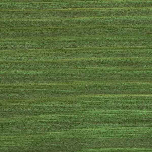 OSMO 729 Fir Green